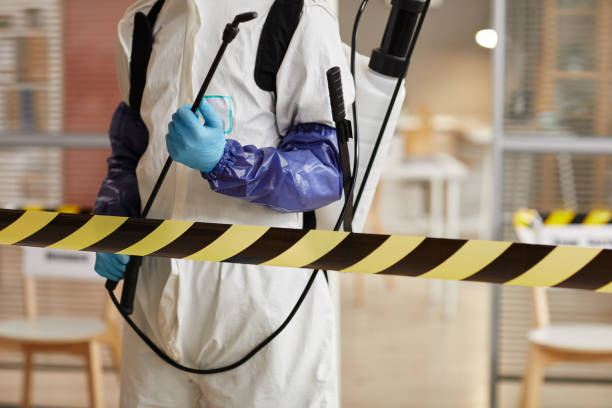 Professional Sewage Cleanup technician working in Anna, TX