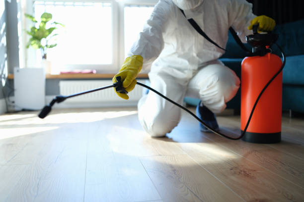 Reliable Sewage Cleanup contractor in Anna, TX by Trauma Clean Pros